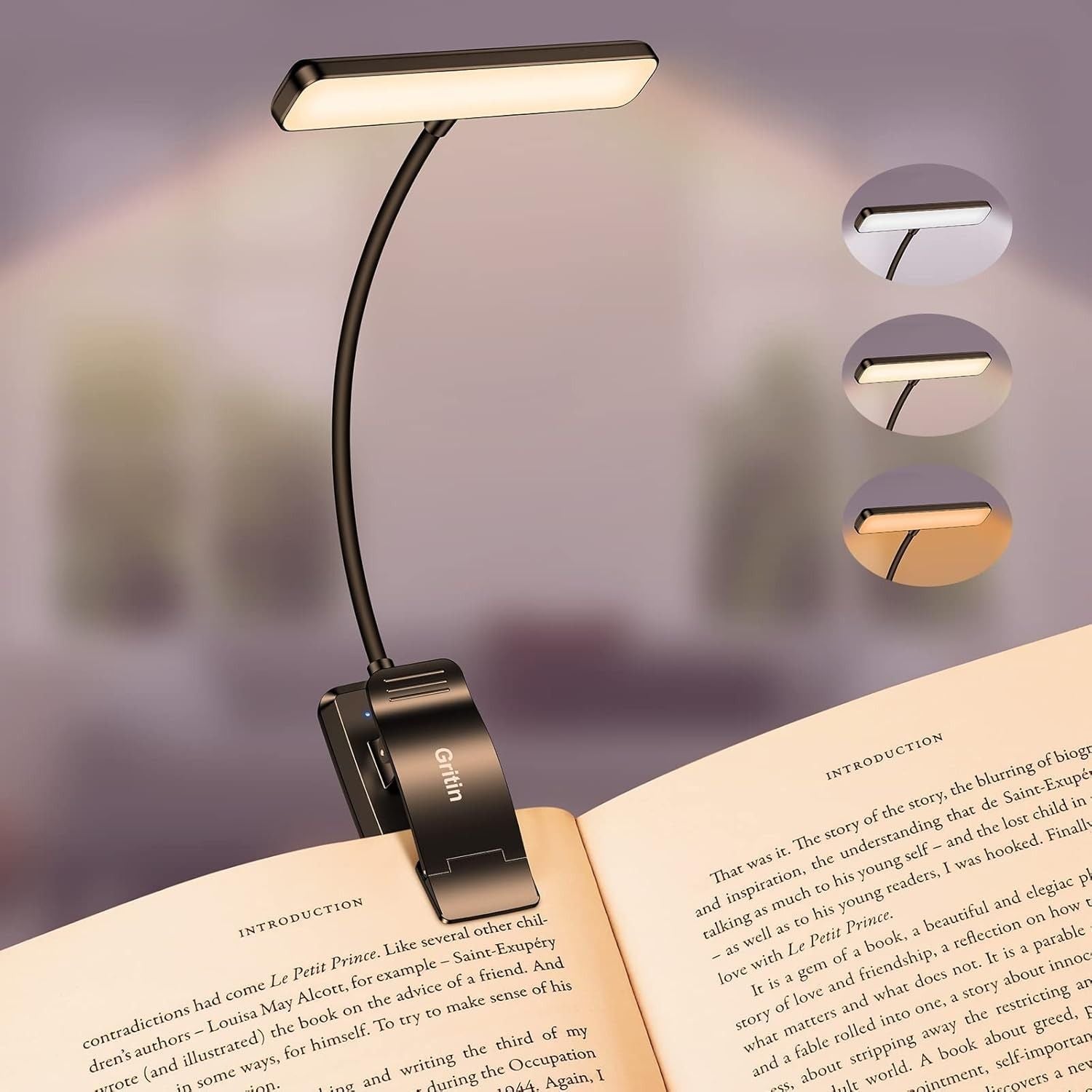 Lampe de Lecture Large